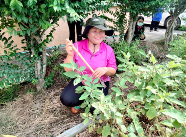สหกรณ์จังหวัดบึงกาฬ ... พารามิเตอร์รูปภาพ 20